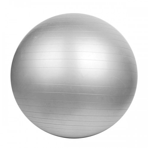 Фитболл Landfit Fitness Ball 55cm with Pump