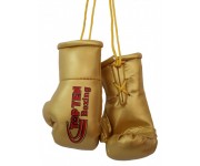 Сувенирные мини боксерские перчатки TOP TEN Boxing