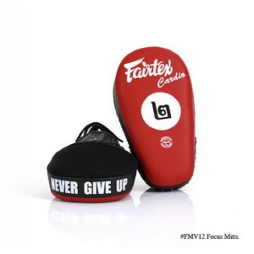 Боксерские лапы FAIRTEX (FMV12)