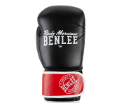 Боксерские перчатки BENLEE CARLOS