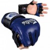 Перчатки MMA Fairtex FGV13  фото 2