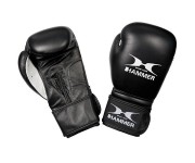 Боксерские перчатки Hammer Premium Fight 10 oz