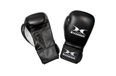 Боксерские перчатки Hammer Premium Fight 10 oz