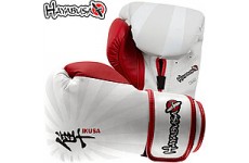 Боксерские перчатки HAYABUSA Ikusa 14 oz Boxing Gloves