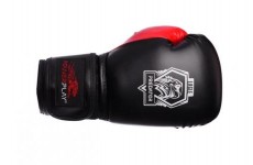 Боксерские перчатки PowerPlay 3002 Eagle Series Red