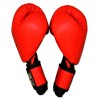 Боксерские перчатки RING TO CAGE Kids Boxing Gloves  фото 7