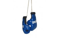 Боксерские перчатки Sportko CC1