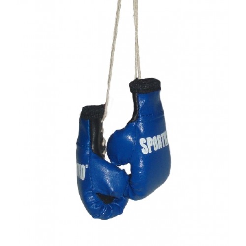 Боксерские перчатки Sportko CC1