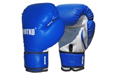 Боксерские перчатки Sportko ПД2-10-OZ