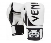 Боксерские перчатки Venum Challenger 2.0 White