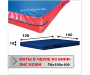 МАТ СПОРТИВНЫЙ Boyko-sport в чехле из ткани ВИНИЛИС КОЖА 10х100х100
