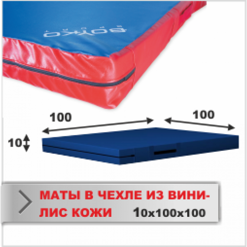 МАТ СПОРТИВНЫЙ Boyko-sport в чехле из ткани ВИНИЛИС КОЖА 10х100х100