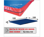 МАТ СПОРТИВНЫЙ Boyko-sport в чехле из ткани ВИНИЛИС КОЖА 5х100х100
