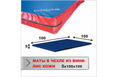 МАТ СПОРТИВНЫЙ Boyko-sport в чехле из ткани ВИНИЛИС КОЖА 5х100х100