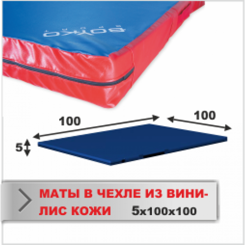 МАТ СПОРТИВНЫЙ Boyko-sport в чехле из ткани ВИНИЛИС КОЖА 5х100х100