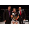 Перчатки для ММА WSOF MMA Glove by Fuji Sports  фото 6