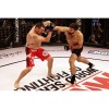 Перчатки для ММА WSOF MMA Glove by Fuji Sports  фото 2