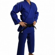 Кимоно для дзюдо Adidas Champion II IJF фото