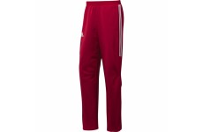 Брюки Adidas T12 TEAM (красные)