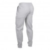 Cпортивные штаны Bad Boy core grey  фото 2
