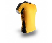 Рашгард PunchTown Ode To Dragon Rash Guard Short Sleeve