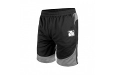 ШОРТЫ BAD BOY FORCE BLACK/GREY
