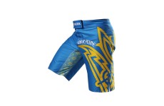 Шорты BERSERK HETMAN blue
