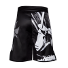 Шорты для ММА FUJI Musashi Board Shorts  фото 3
