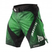 Шорты Peresvit Immortal Fightshorts Green Lantern фото