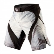 Шорты Peresvit Immortal Fightshorts Snowstorm фото