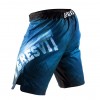 Шорты Peresvit Legend Fightshorts Dark Marine  фото 3