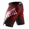 Шорты Peresvit Legend Fightshorts Sunset  фото 3