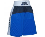 Боксерские шорты RIVAL Training Shorts