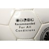 Мяч футбольный Winner BRILLIANT FIFA APPROVED  фото 4