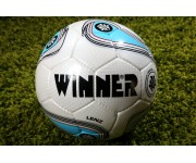 Мяч футбольный Winner LENZ FIFA APPROVED