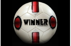 Мяч футзальный тренировочный Winner TYPHON SALA