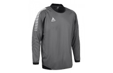 Реглан вратарский SELECT Chile goalkeeper's jersey (with pads)