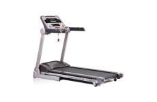 FitLogic V550
