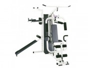 Домашняя мультистанция FitLogic SA-3900 фото