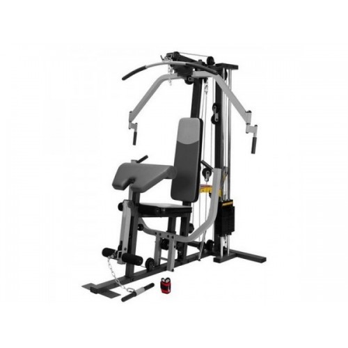 Фитнес станция Housefit HG 2006
