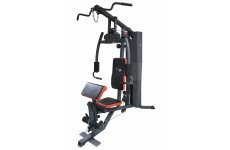 Фитнес станция USA Style SS-2531