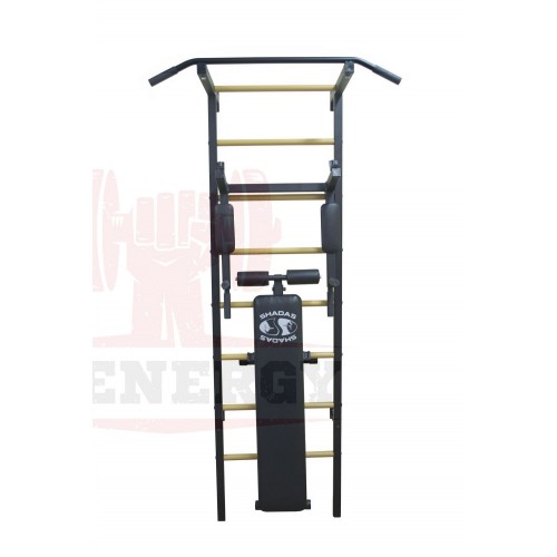 Шведская стенка спортивная Plenergy Shadas black