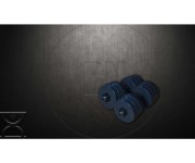 Гантели RN по 16 кг RN1645