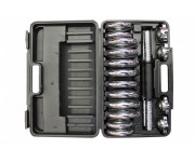 Набор гантелей USA Style SS-LDBS-208-D25