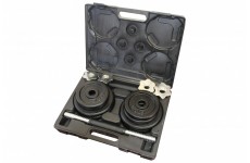 Набор гантелей USA Style SS-LDBS-213-D25