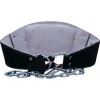 Пояс кожаный с цепями для утяжелителей SCHIEK Black Leather Dipping Belt 5008B  фото 2