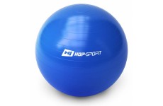 Фитбол Hop-Sport 65 см + насос