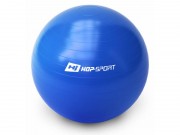 Hop Sport 19018 Фитбол Hop-Sport 65 см + насос фото