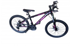 Велосипед Bavar Sport L806